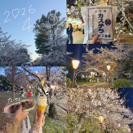 この間桜を見てきました！！！
